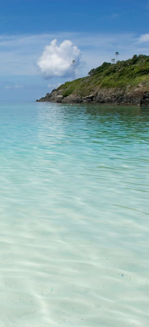 trunk bay image