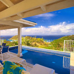 Blue Agave Pool